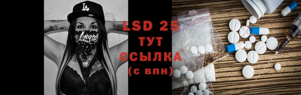 стаф Семилуки
